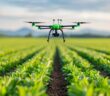 Precision Farming: Die Zukunft der Landwirtschaft mit maßgeschneiderter Präzision (Foto: AdobeStock - 913576282 Pachara)